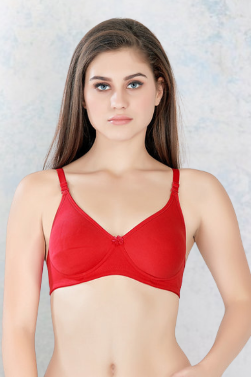 Lily Light Padded Bra (C-Cup)